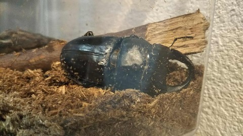 DSC_1458_R