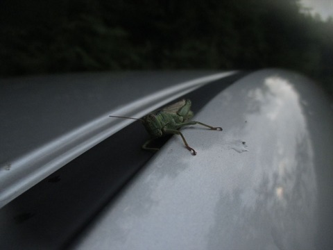 IMG_2787_R
