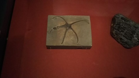 DSC_0393_R