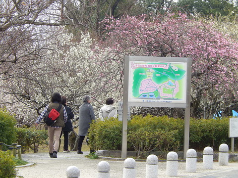 DSCN2084