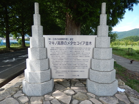 DSCN7756