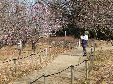 DSCN2090