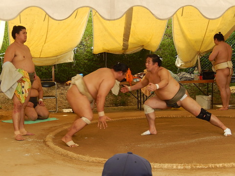 DSCN3979