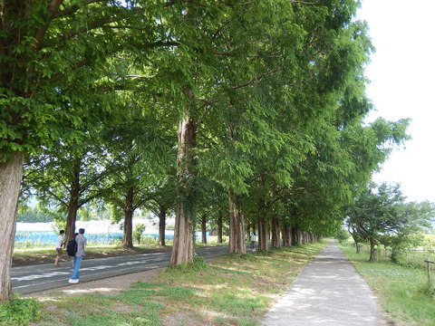 DSCN7762
