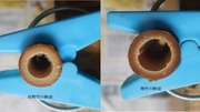 高野竹と寒竹の断面