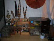 DSCN6578