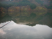 3b694682.jpg