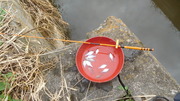 タナゴ釣り