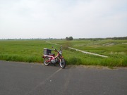 ハンターカブ