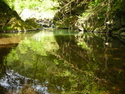 DSCN0922