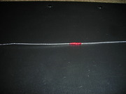 DSCN6838