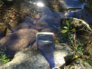 カジカ釣り