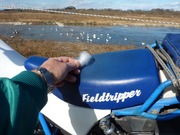 TL125