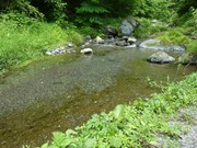 沢水増水
