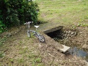 枝水路