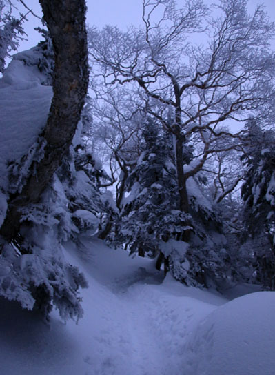 20150113iou-001.jpg
