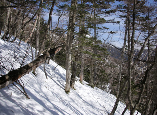 20160320gongendake-011.jpg