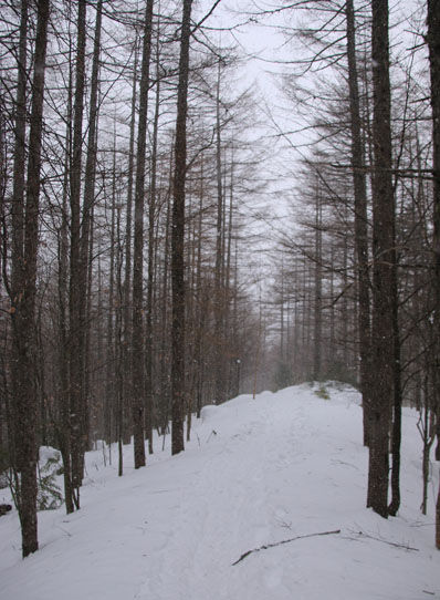 20150113iou-018.jpg