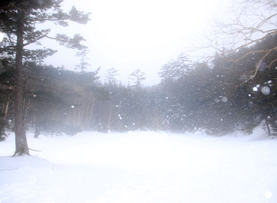 20150113iou-017.jpg