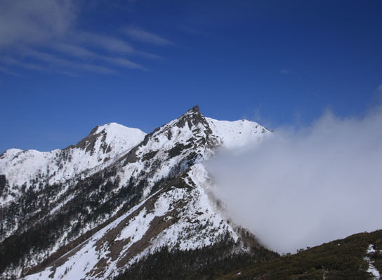 20150321mitugashira-019.jpg