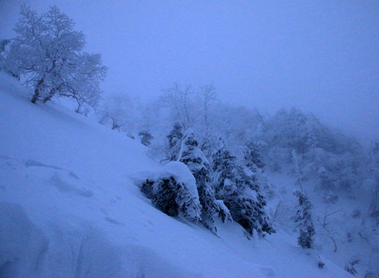 20150113iou-002.jpg