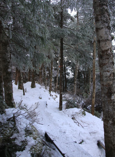 20161224inagoyutengukarasawa-025.jpg