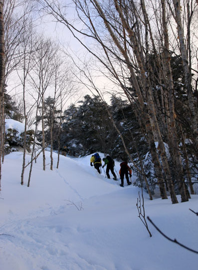 20150211tateshinayama-005.jpg