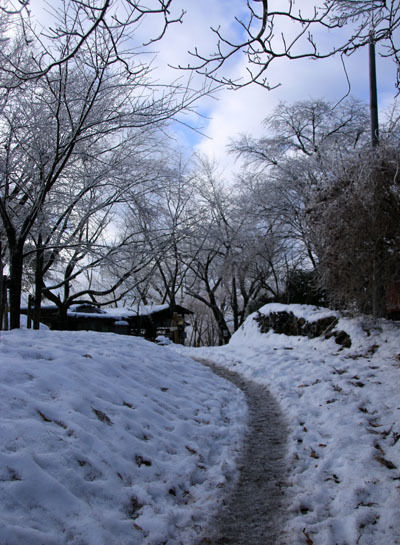 20160131kobotoke-007.jpg