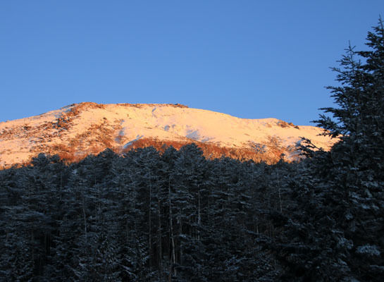 20160109oren-014.jpg