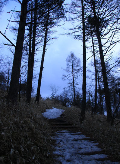 20150321mitugashira-002.jpg