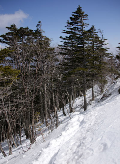 20160320gongendake-034.jpg