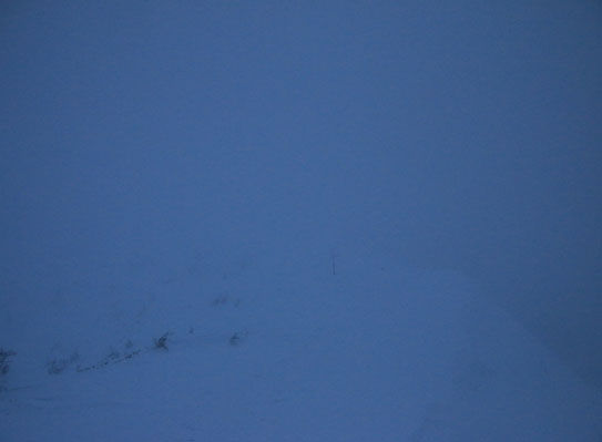 20150113iou-004.jpg