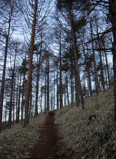 20160320gongendake-002.jpg