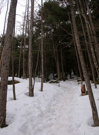 20150328amigasa-008.jpg