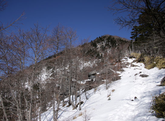 20160320gongendake-013.jpg