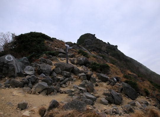 20141004new-015.jpg