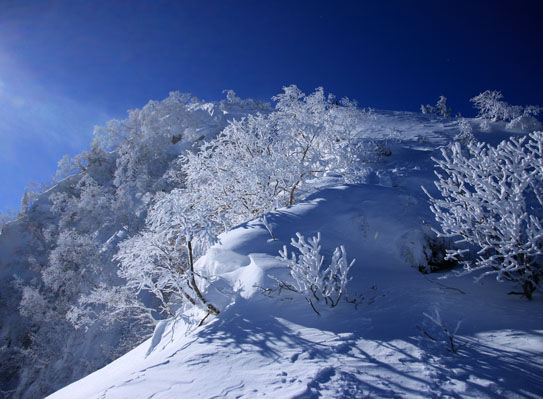 20141226tengu-010.jpg