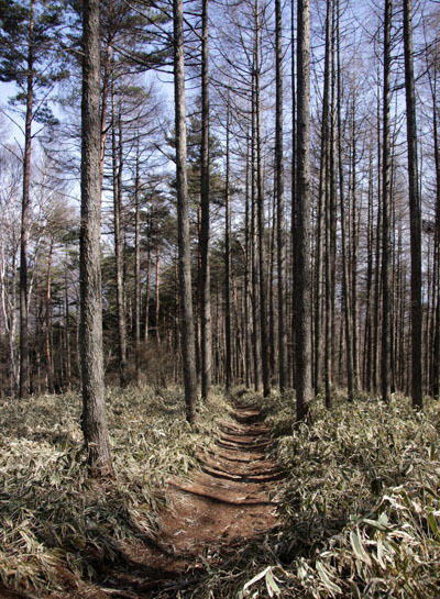 20160320gongendake-035.jpg