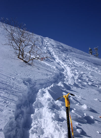 20150228higashitengu-014.jpg