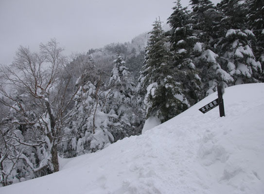 20150113iou-012.jpg