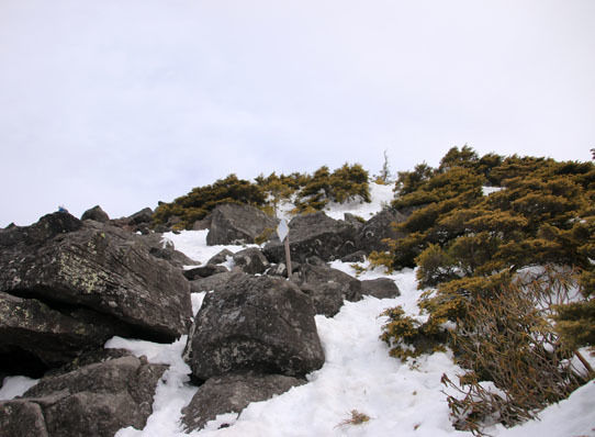 20150328amigasa-009.jpg