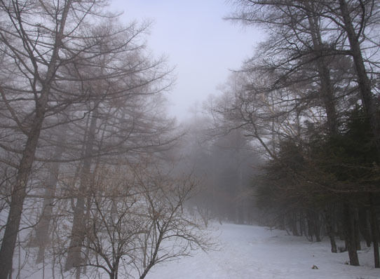 20150321mitugashira-006.jpg