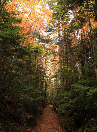 20141004new-028.jpg
