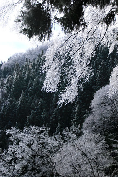 20160131kobotoke-002.jpg