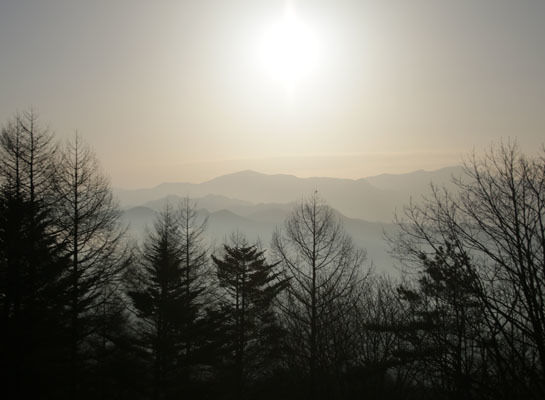 20160320gongendake-008.jpg