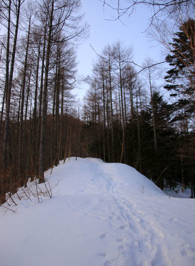20150228higashitengu-004.jpg
