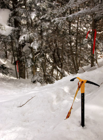 20150228higashitengu-024.jpg