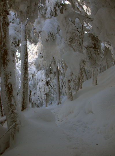 20141226tengu-005.jpg