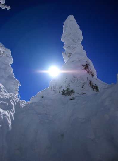 20141226tengu-023.jpg