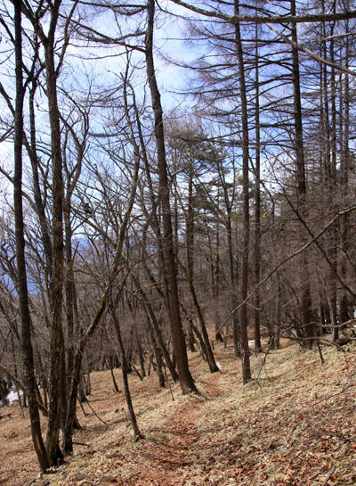 20150328amigasa-020.jpg